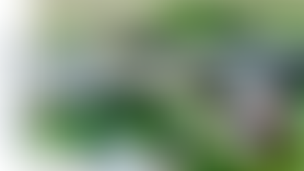 Ballymena’s economic win: Planning first step approved for JAQ Group’s new £11M factory