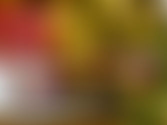 Coca-Cola marks 17 years of rewarding designated drivers across Northern Ireland this Christmas