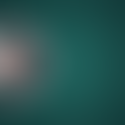 Police in MEA arrest man following assault on train