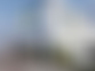 Lidl and WWF launch ambitious international partnership