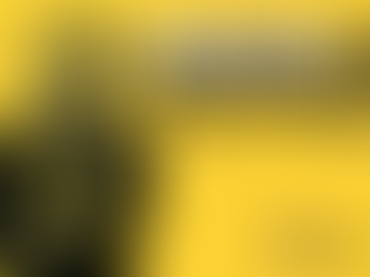 World Superbike champions headline Joey Dunlop celebration in Ballymoney