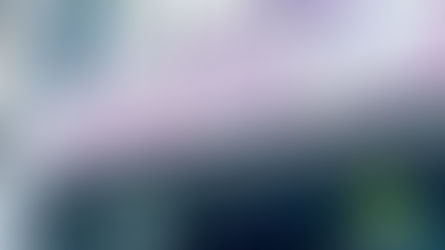 Time well spent: Ballymena Hospice Shop seeks community volunteers