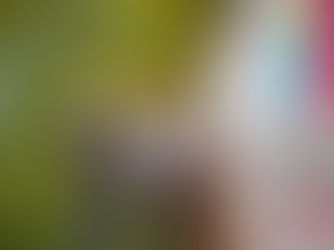 Gallaher Trust’s delivery partner project supports 127 Ballymena Start-Ups