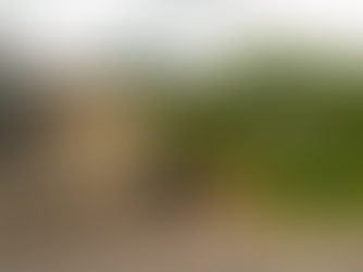 Man sentenced following burglary of 86-year-old woman in Ballymena