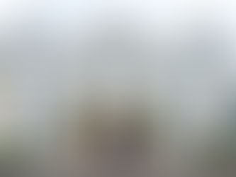 Businesses across North Antrim showcase ambition as Burrows calls for stronger government support