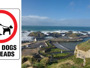 Dog control in place from Ballintoy to White Park Bay helps all enjoy their visit