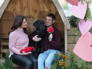 Strike a paw-se: Brand new Valentine event for dogs at Dobbies’ Antrim and Lisburn stores