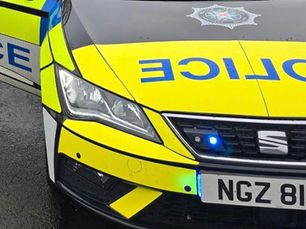 Pedestrian dies following collision with vehicle