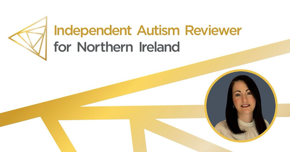 Autism services in NI ‘not being delivered reliably’ despite 15 years of law and strategy, damning first independent review finds