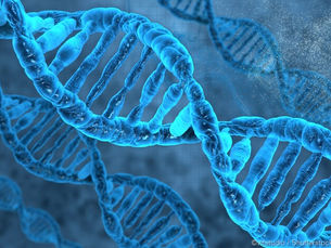 It’s imperative that we harness the potential of genomics – Swann