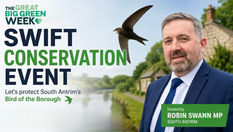Robin Swann to host Toome event to help protect declining swift populations