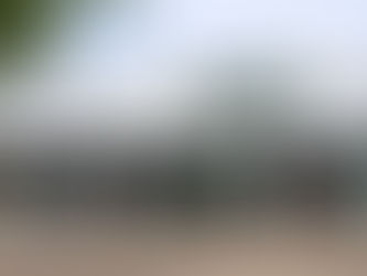 Surf and lifestyle brand Animal makes waves at The Junction