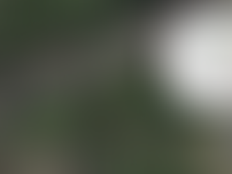 Planners refuse proposal for 14 new homes in conservation area of Antrim town