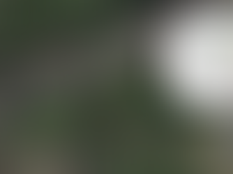 Planners refuse proposal for 14 new homes in conservation area of Antrim town