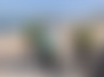 People of Northern Ireland set to enjoy a safer summer together