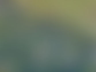 Belfast Zoo to host the ‘Zoo Challenge 5k Fun Run’ in 2023