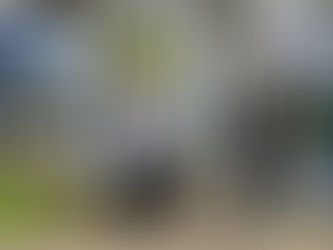 The Secret Garden café set to open this month in Ballymena