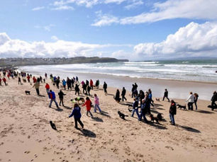 Hundreds of paws expected in Portrush as Wee Joan’s Charity Dog Walk returns this Sunday