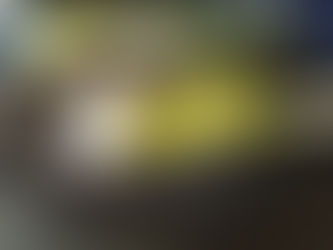 Appeal for information after police vehicle rammed and officers injured