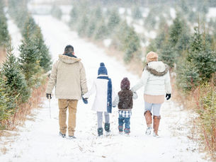 PHA | Look after your mental and emotional wellbeing during the holidays