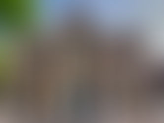 Co Antrim man sentenced after pleading guilty to causing unnecessary suffering to dog