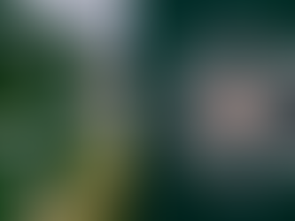 Police confirm young male has died following weekend collision