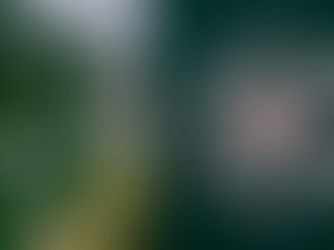 Police confirm young male has died following weekend collision