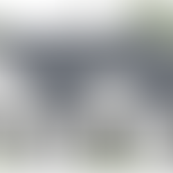 Some of the house types proposed for the new development