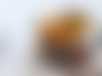 Disruptive snow possible next week – Met Office