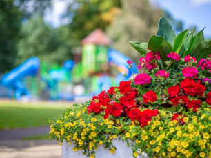 Mid and East Antrim In Bloom 2026 competitions now open