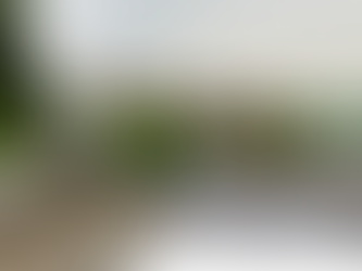 Plans approved for self-catering units at the Waterfall Bar in Clady