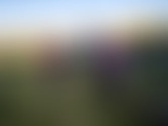 CC&G Walking Festival invites walkers to enjoy spectacular mountain, coastal and forest trails!