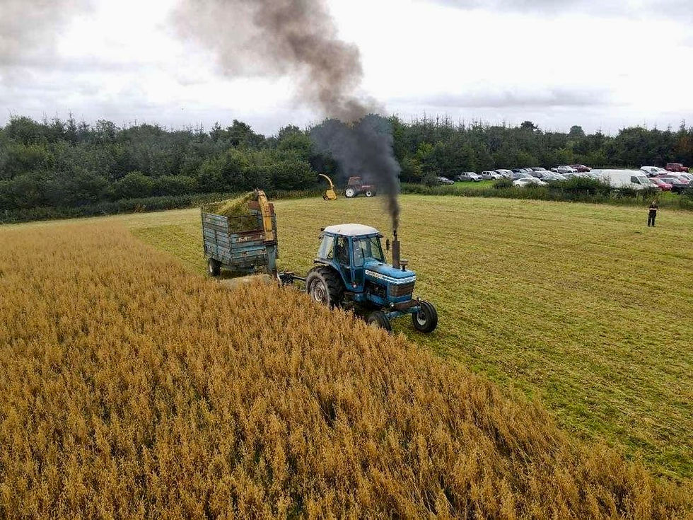 A day of work and play at Craig’s Corn Cutting charity event in 2025.