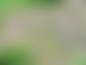 Concerns mount as new £143M Antrim mental health facility pushed back to 2030