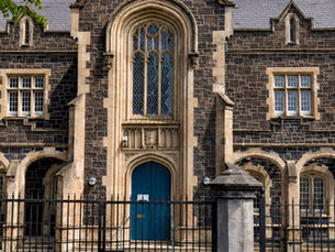 Farmer banned from keeping animals after 19 calves euthanised following welfare investigation