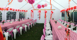 Celebrating a 50th Year Wedding Anni