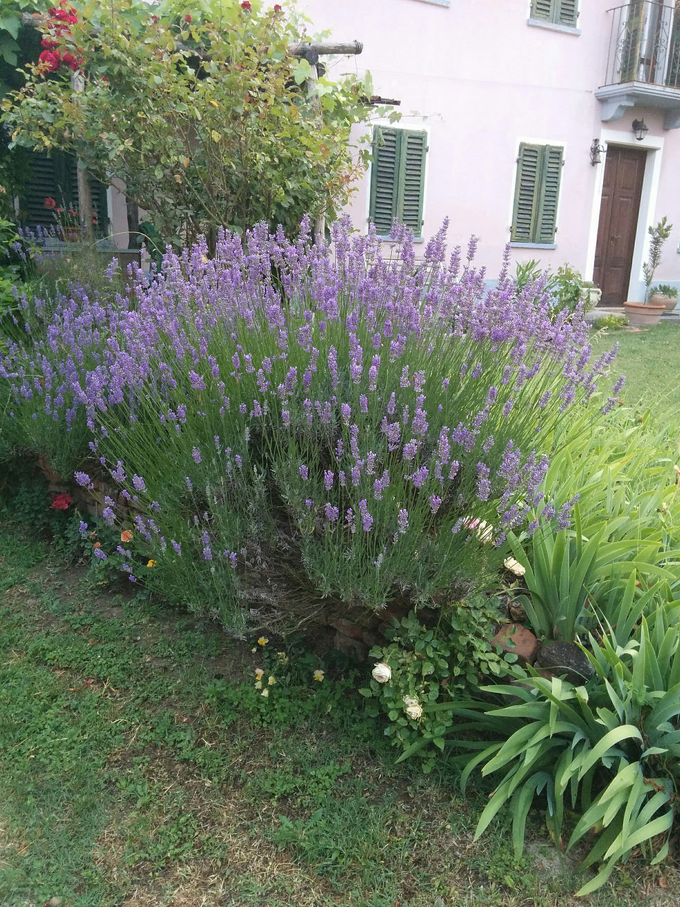 Eravamo felici.