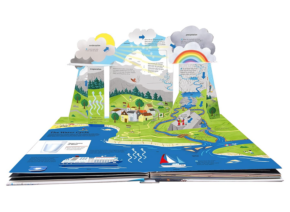 Miniaturbild: The Ultimate Book of Water (TW Ultimate) Gebundene Ausgabe (Englisch)