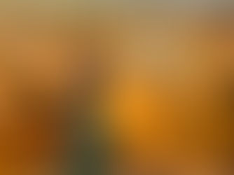 Artist of the Month: Rachel Carney