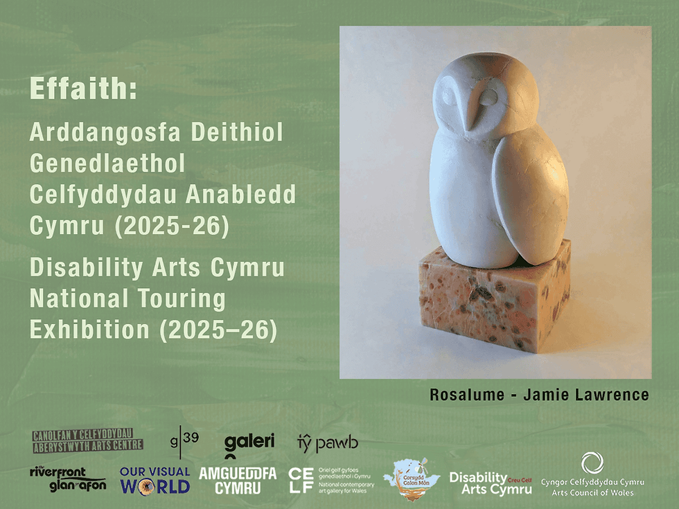 Effaith: Disability Arts Cymru National Touring Exhibition (2025-26) opens at Tŷ Pawb, Wrexham