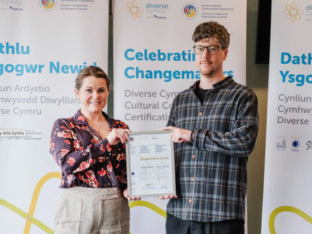 Disability Arts Cymru receive Silver Award at Cultural Competence, Diverse Cymru