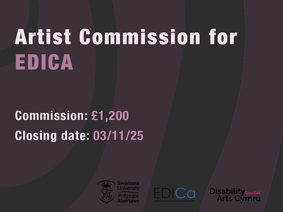 Artist Commission for EDICA
