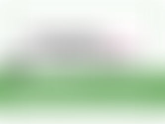 We are hiring! Literature Development Officer