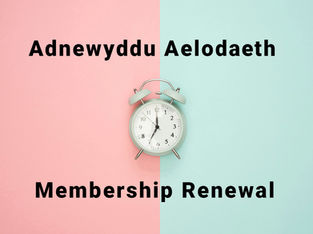 Image of clock on a background of block colours of pale pink and pale green.