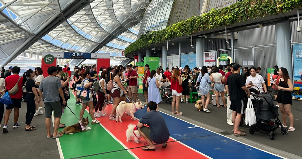 Weekend crowd under the Sports Hub canopy — families, strollers & dogs.
