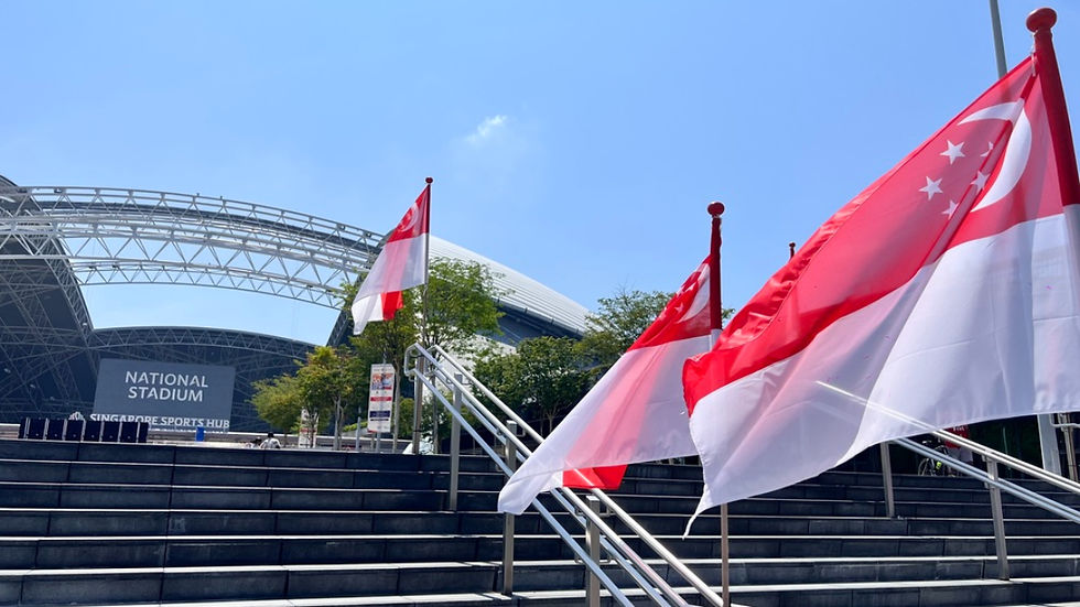 Singapore flags along the National Stadium steps — neighbours for a night