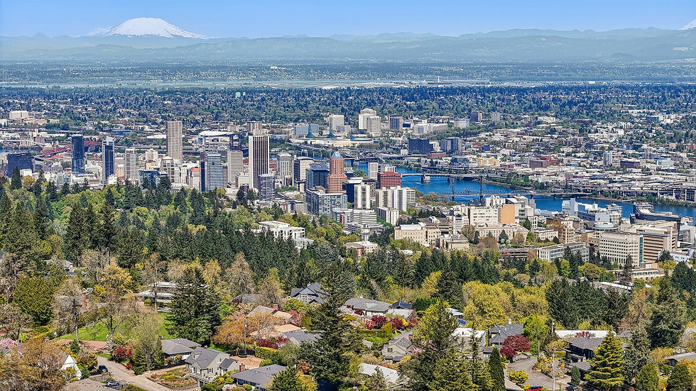 Enhance Your Listings with Stunning Real Estate Photography