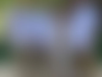 ¡Como los Chivos Sin Ley!