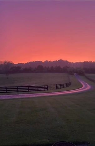sunset_edited.jpg