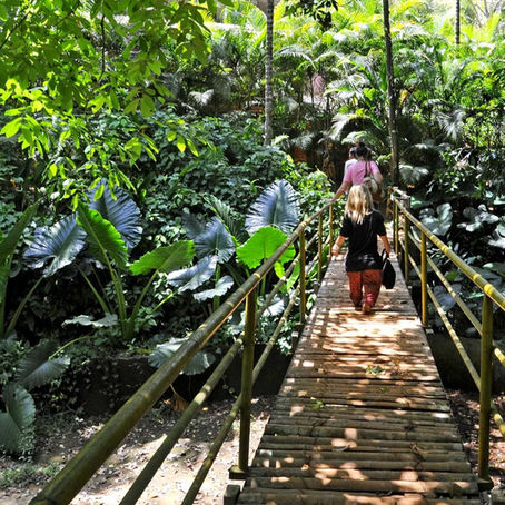 Must Visit Spice Plantations in Goa